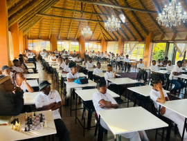 Bright Stars Tutoring Services