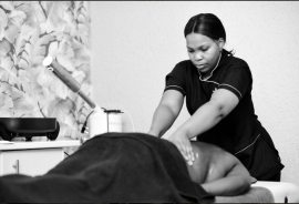 Golden Emperor Beauty