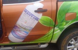 Inkanyamba Blood Clot Medicine