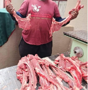 Mthembu Slaughtering Services