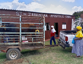 Mthembu Slaughtering Services