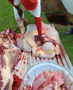 Mthembu Slaughtering Services