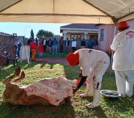 Mthembu Slaughtering Services