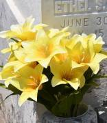 Bokamoso Ikusasa Burial Scheme