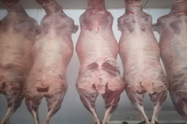 Simunye Beef Policy