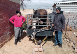 Simunye Beef Policy